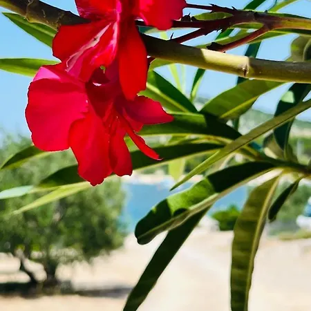 №5 Holiday home Drage