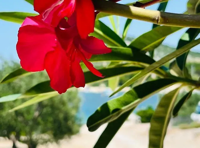 №5 Casa vacanze Drage